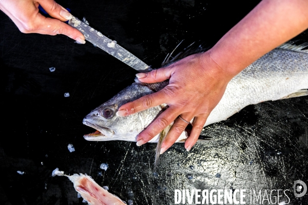 Du pêcheur au sac à main: le cuir de poisson fabriqué à Arcachon