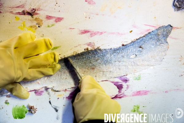 Du pêcheur au sac à main: le cuir de poisson fabriqué à Arcachon