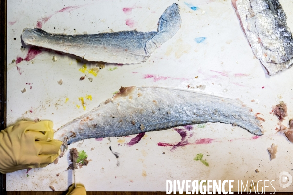 Du pêcheur au sac à main: le cuir de poisson fabriqué à Arcachon