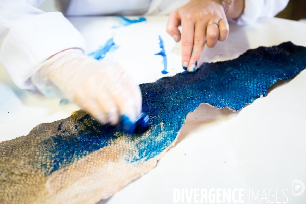 Du pêcheur au sac à main: le cuir de poisson fabriqué à Arcachon