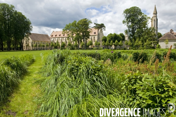 L abbaye de  Royaumont.