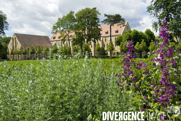 L abbaye de  Royaumont.