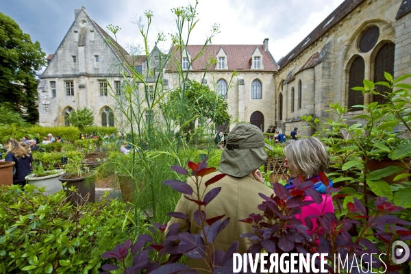 L abbaye de  Royaumont.