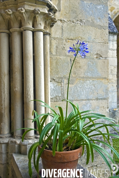 L abbaye de  Royaumont.