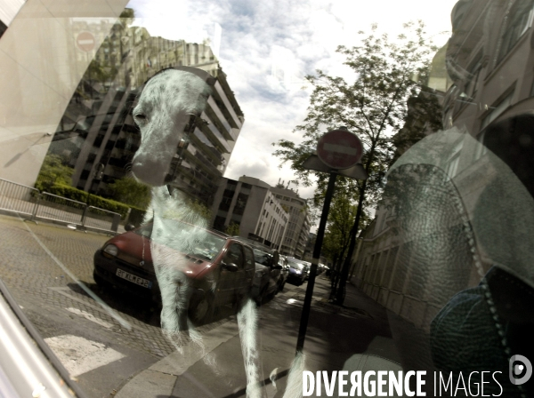 24 Heures avec Michel Drucker