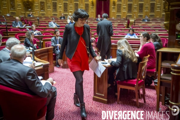 Myriam Le Khomri défend sa loi Travail devant le Sénat