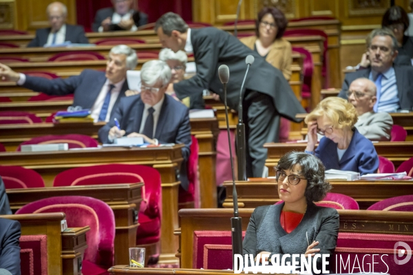 Myriam Le Khomri défend sa loi Travail devant le Sénat