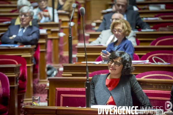 Myriam Le Khomri défend sa loi Travail devant le Sénat