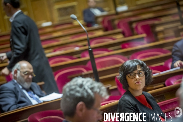 Myriam Le Khomri défend sa loi Travail devant le Sénat