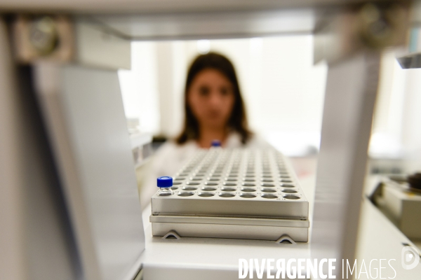 Institut pour la Recherche et le Développement (IRD)