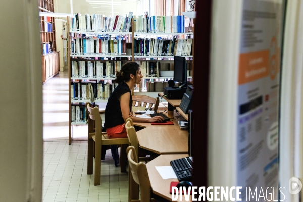 Institut pour la Recherche et le Développement (IRD)