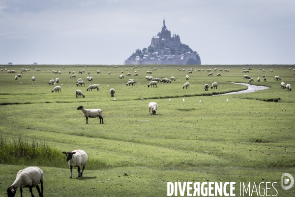 Mont Saint-Michel & Pointe du Grouin