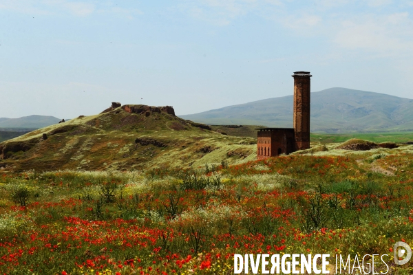 Ani, the Ancient Armenian Capital and the city of a thousand and one churches. Ani, l ancienne Capitale Armenian et la ville de mille et une églises.