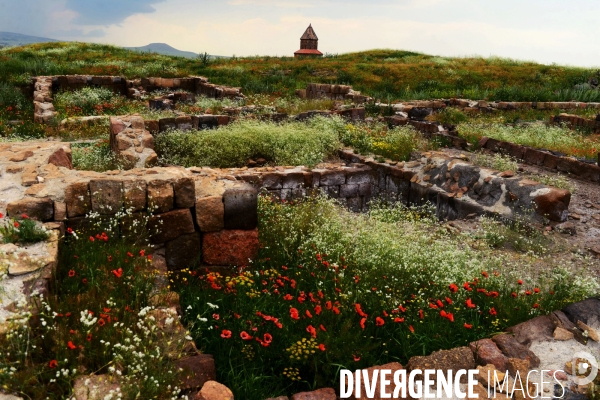 Ani, the Ancient Armenian Capital and the city of a thousand and one churches. Ani, l ancienne Capitale Armenian et la ville de mille et une églises.