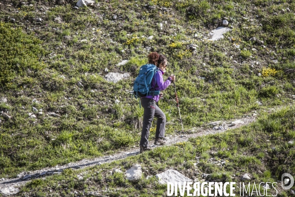 Route des Grandes Alpes
