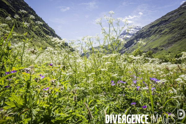 Route des Grandes Alpes