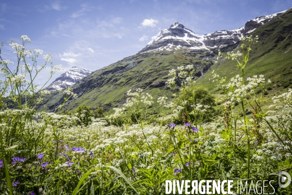 Route des Grandes Alpes