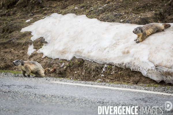 Route des Grandes Alpes
