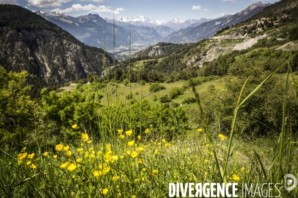 Route des Grandes Alpes