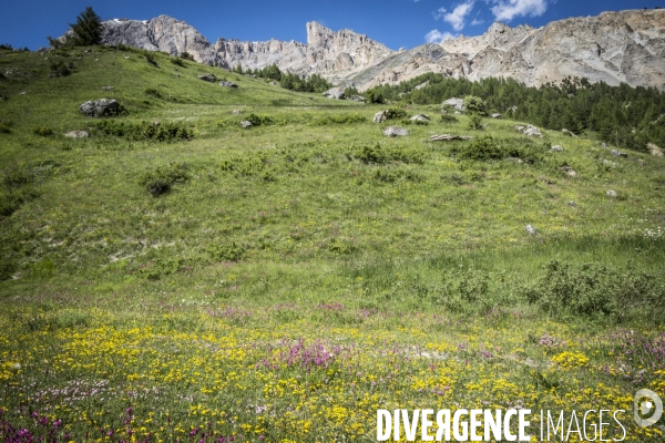 Route des Grandes Alpes
