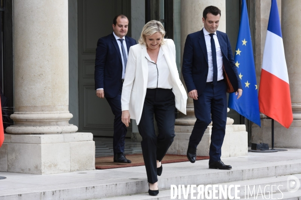 François Hollande reçoit les chefs de partis politiques après le Brexit