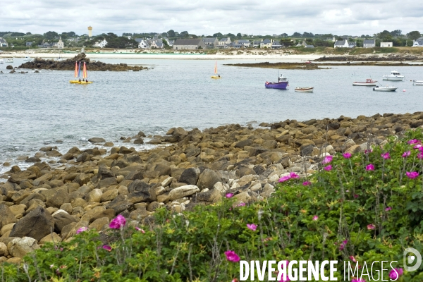 Bretagne.Des voiliers de l ecole de voile sortent du port de Mazou