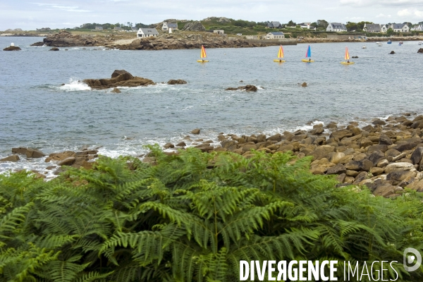 Bretagne.Des voiliers de l ecole de voile sortent du port de Mazou