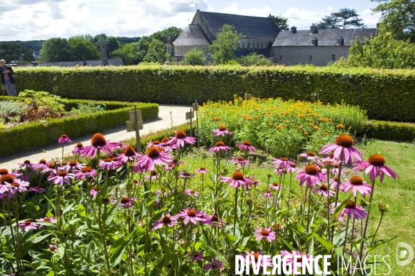 Bretagne.Le jardin remarquable de l abbaye de Daoulas