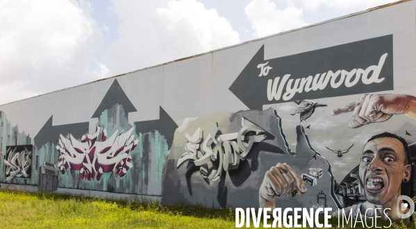 Wynwood/miami la nouvelle mecque du street art