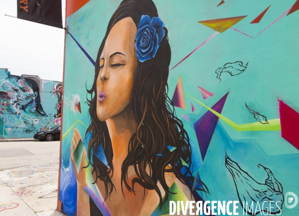 Wynwood/miami la nouvelle mecque du street art