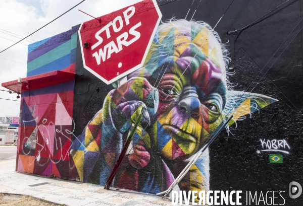 Wynwood/miami la nouvelle mecque du street art