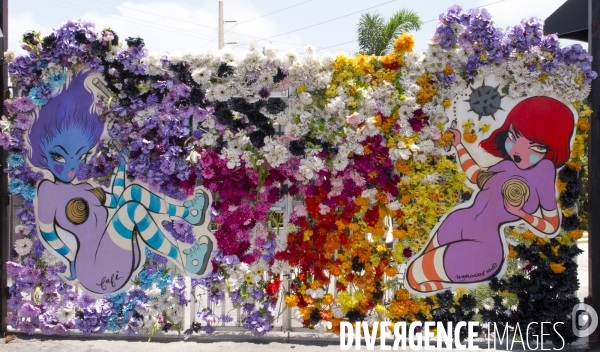 Wynwood/miami la nouvelle mecque du street art