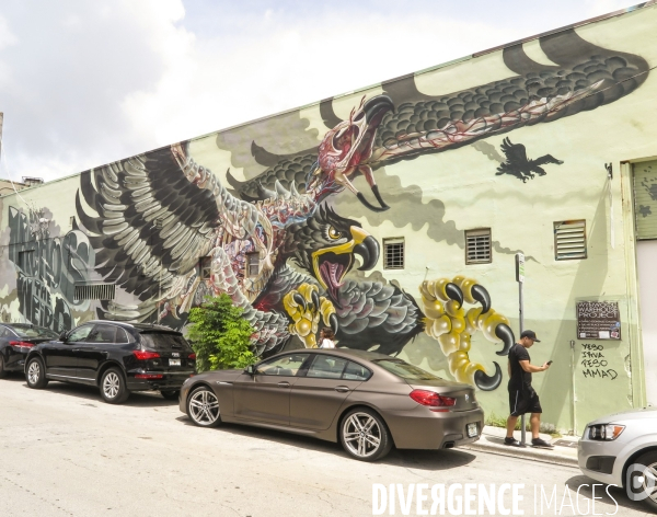 Wynwood/miami la nouvelle mecque du street art