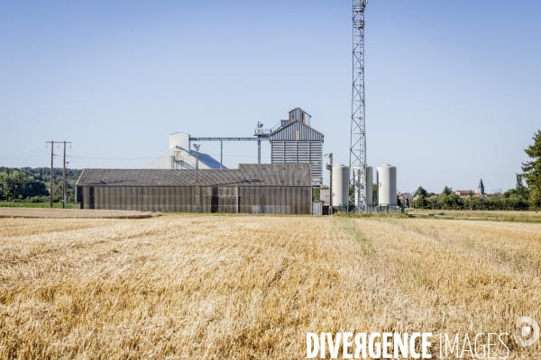 La Ferme de Gigny#2- Les Vaches et les Moissons