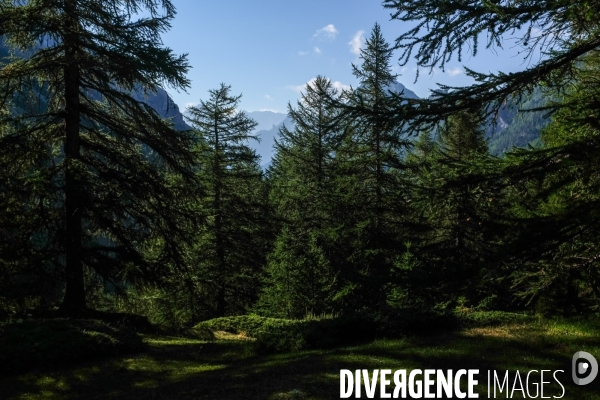 Randonnée dans la vallée de Nevache