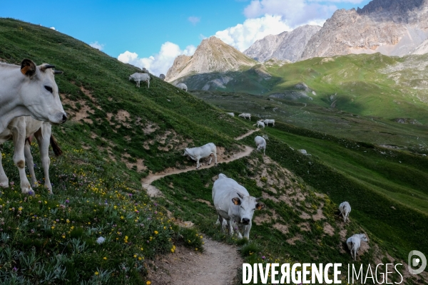 Randonnée dans la vallée de Nevache