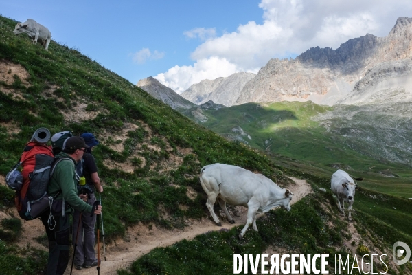 Randonnée dans la vallée de Nevache