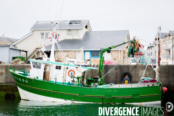 Pêche à la sardine: de l océan à la boîte de conserve