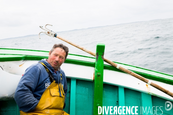 Pêche à la sardine: de l océan à la boîte de conserve