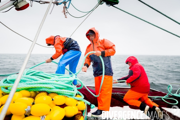 Pêche à la sardine: de l océan à la boîte de conserve