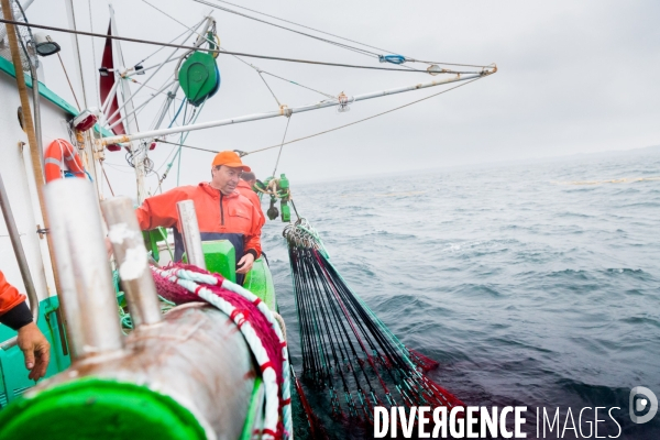 Pêche à la sardine: de l océan à la boîte de conserve