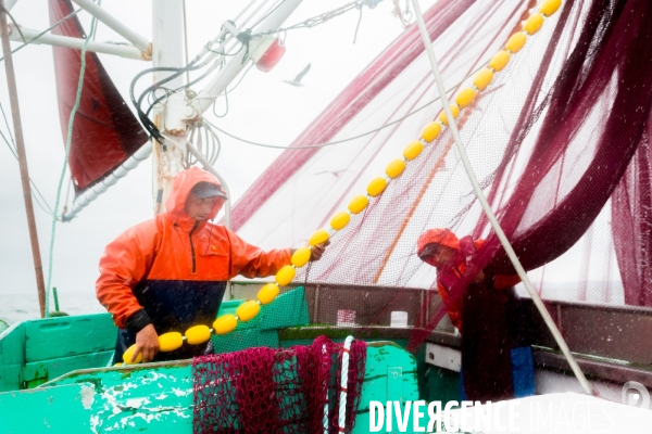 Pêche à la sardine: de l océan à la boîte de conserve