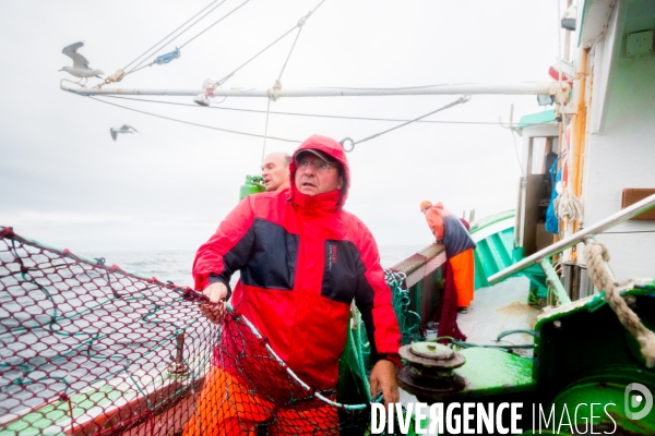 Pêche à la sardine: de l océan à la boîte de conserve