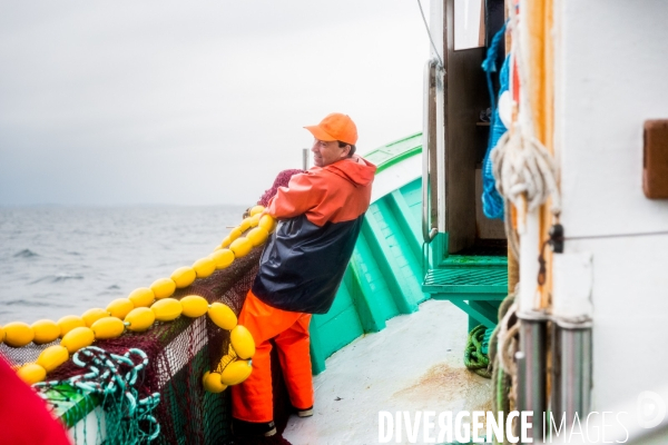 Pêche à la sardine: de l océan à la boîte de conserve