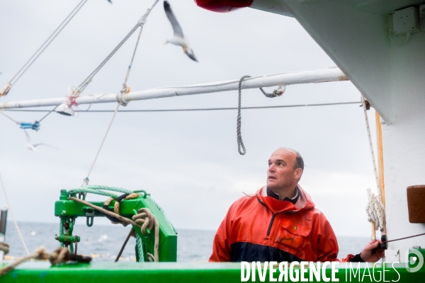 Pêche à la sardine: de l océan à la boîte de conserve