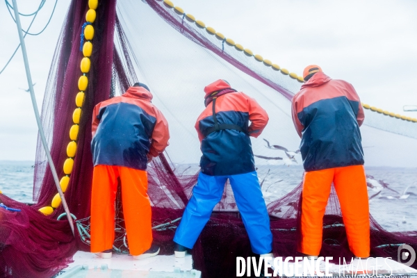 Pêche à la sardine: de l océan à la boîte de conserve