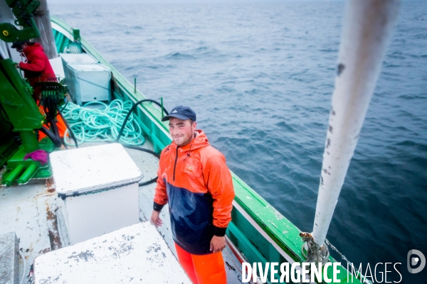 Pêche à la sardine: de l océan à la boîte de conserve