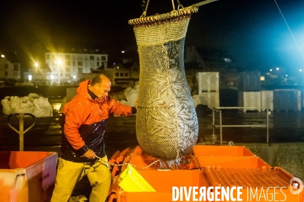 Pêche à la sardine: de l océan à la boîte de conserve