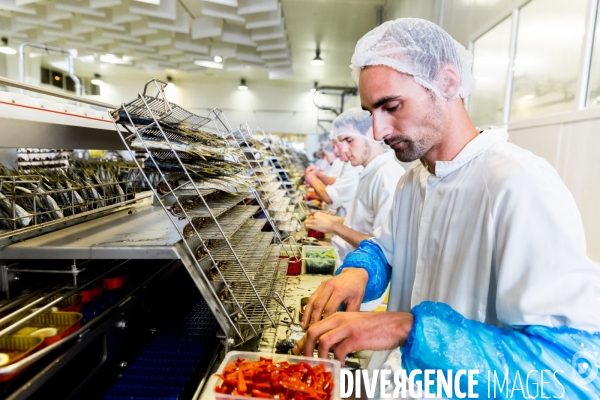 Pêche à la sardine: de l océan à la boîte de conserve