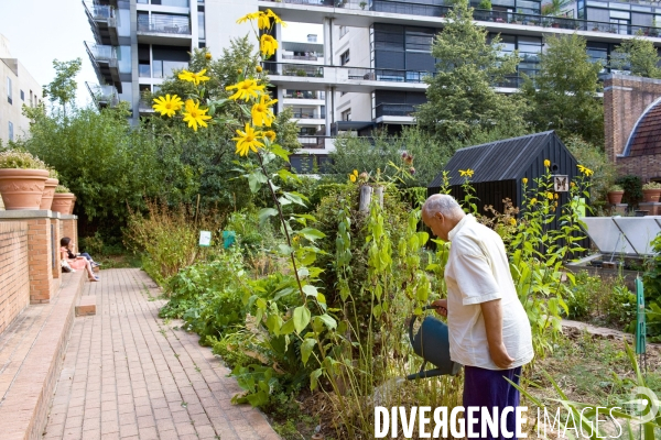 Illustration Aout2016.Au parc de Bercy,un homme arrose des planres du jardin partage